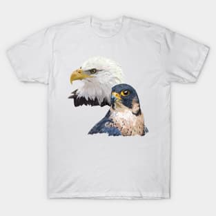 Peregrine Falcon and American Pigargo T-Shirt